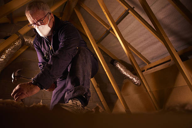 Best Specialized Insulation Services in South Highpoint, FL